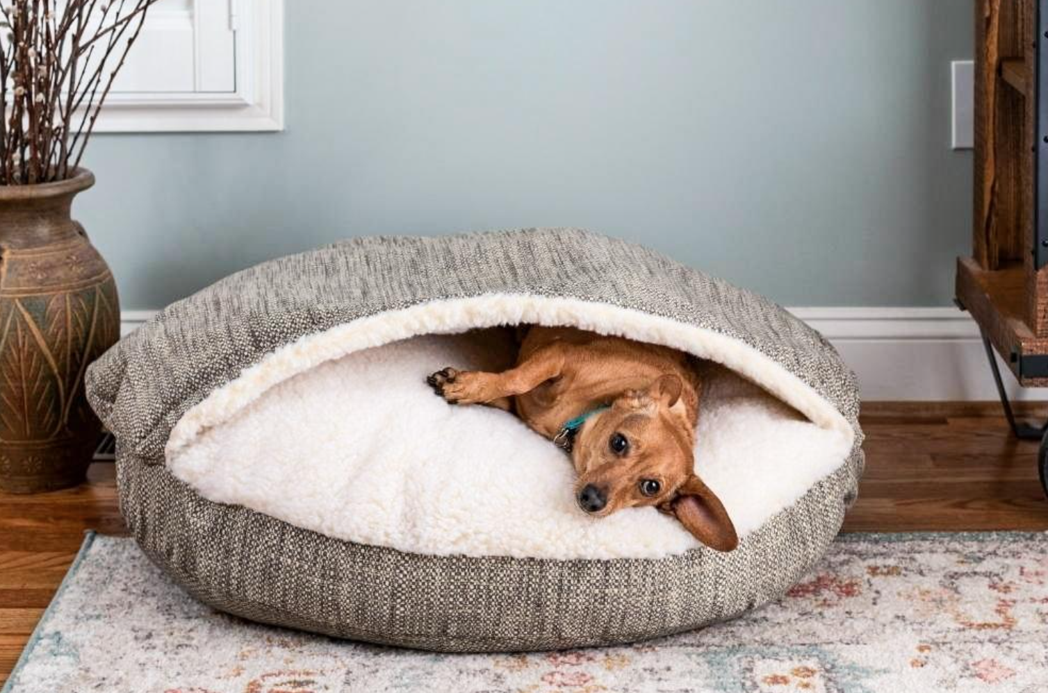 Pet Beds