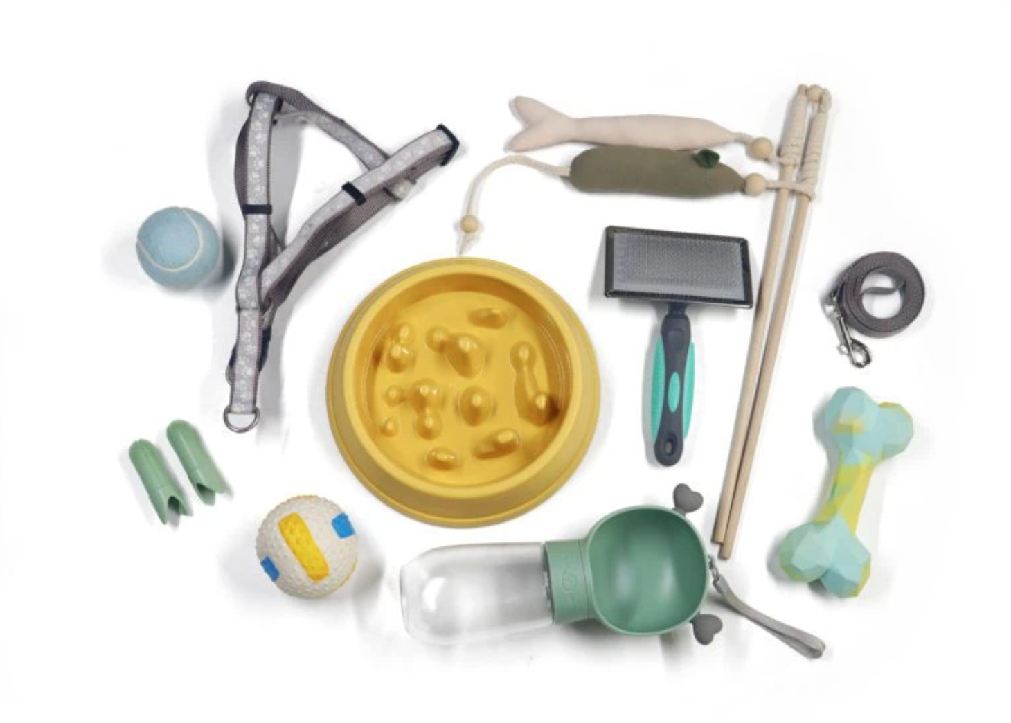 Pet Accessories