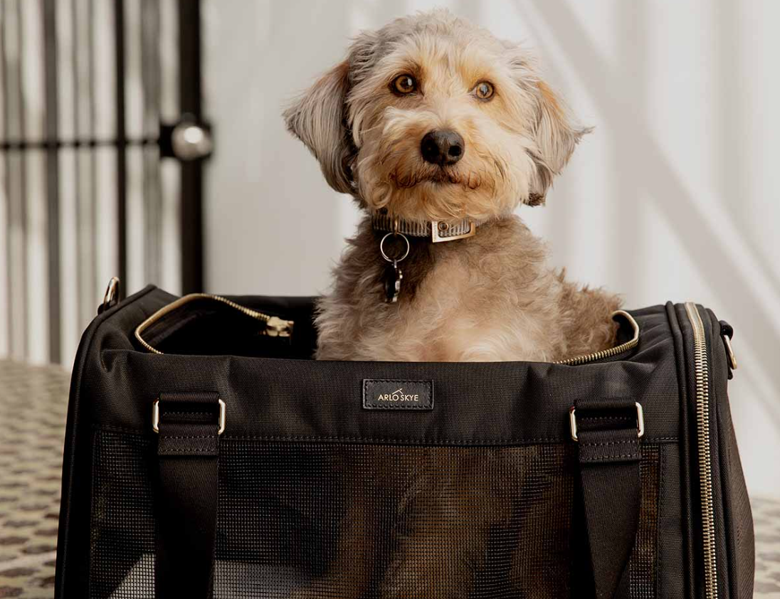 Pet Carriers